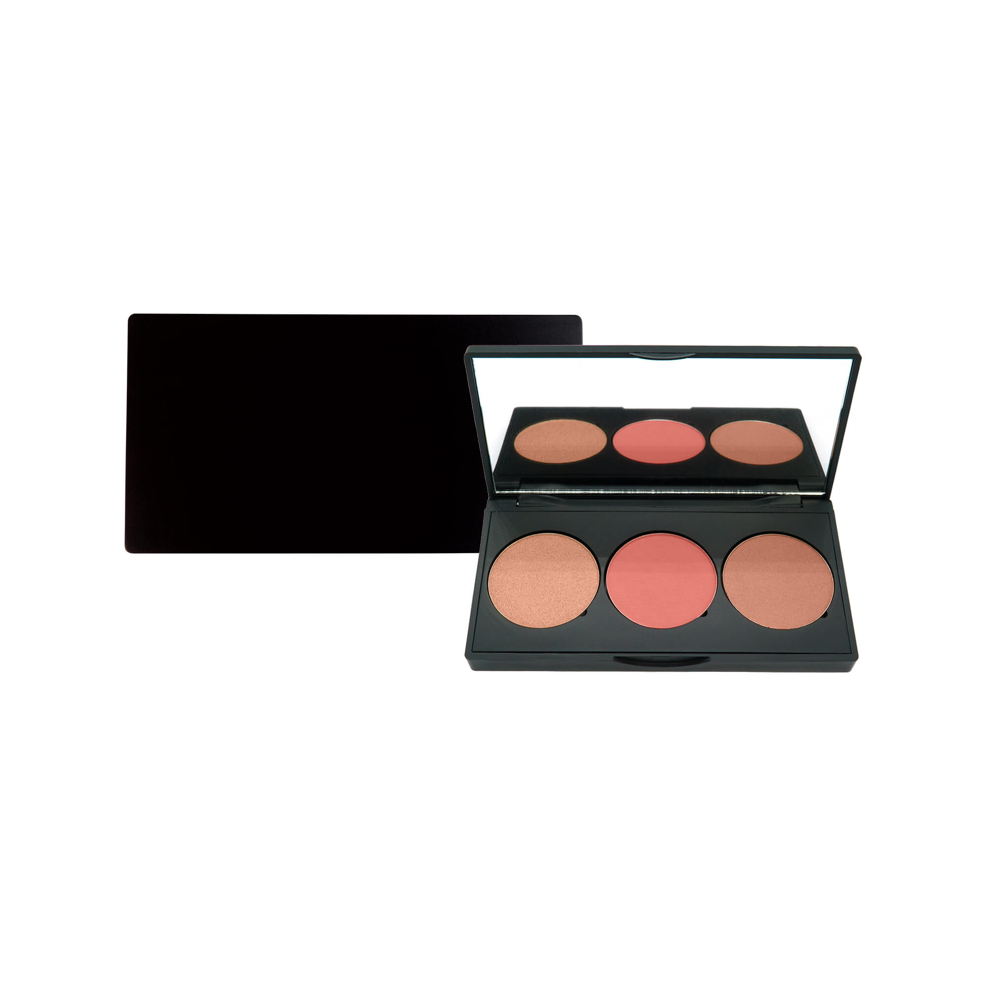 ProCheekPalette-BLNK-MB-01-02-CP-PCP34-unbranded.jpg